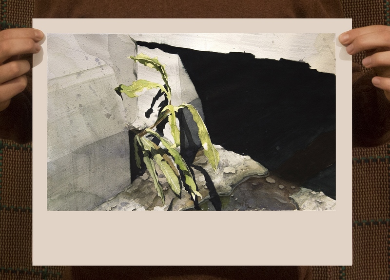 p27 (Copy)