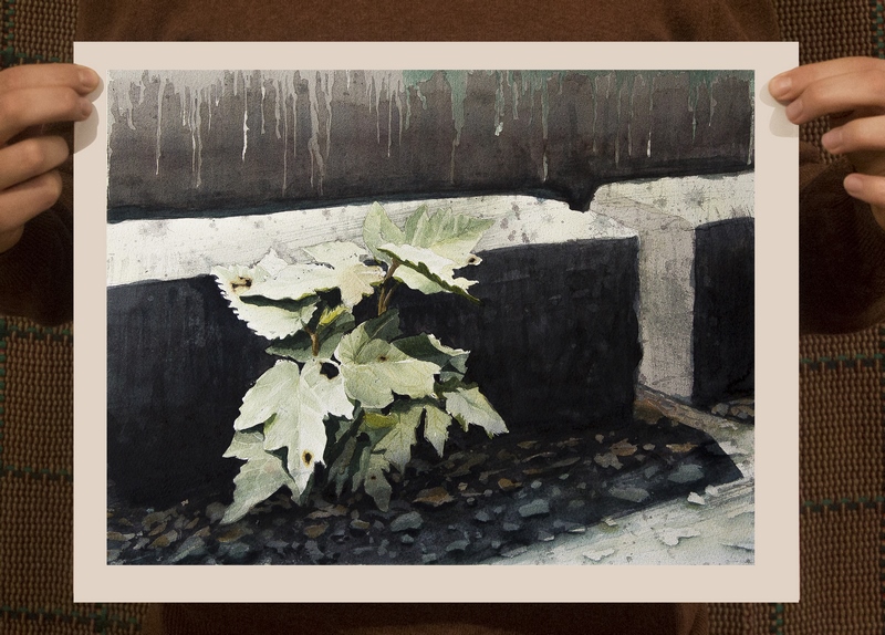 p32 (Copy)