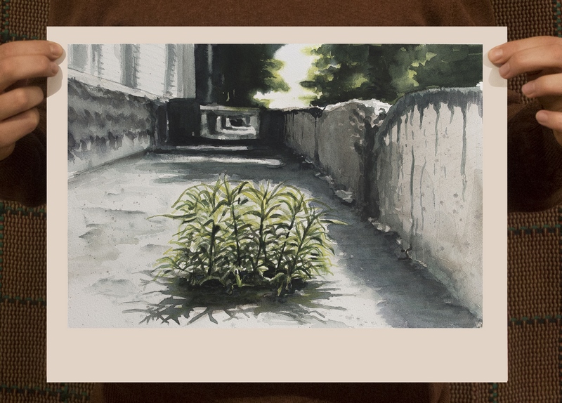 p33 (Copy)
